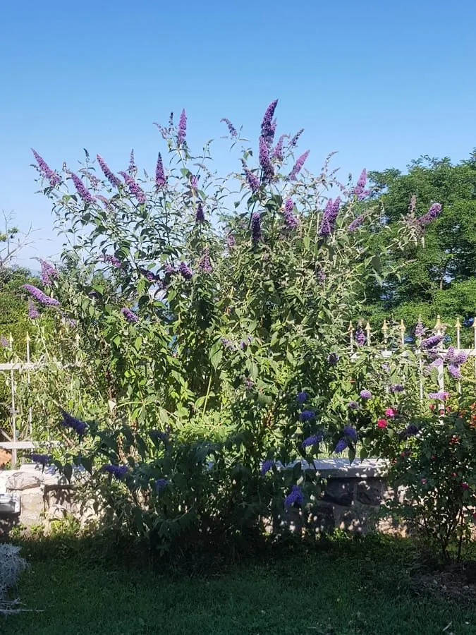 Apartmani Adria Opatija